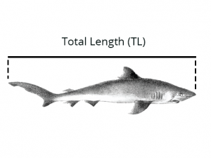 reference-3